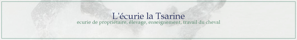 L'écurie la Tsarine