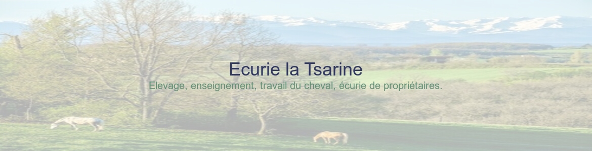 Ecurie la Tsarine